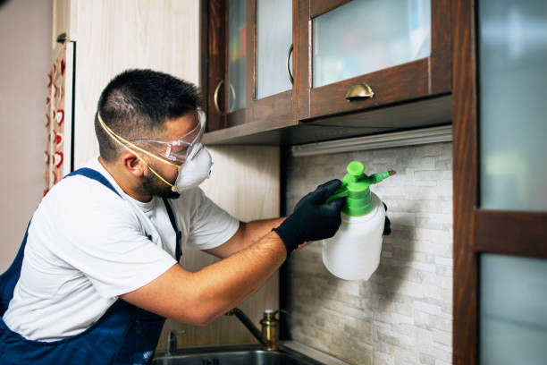 Best Termite Control Services  in Prien, LA