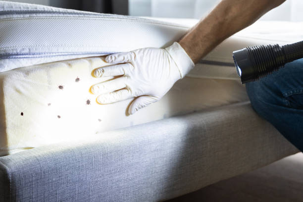 Trusted Prien, LA Pest Control Experts