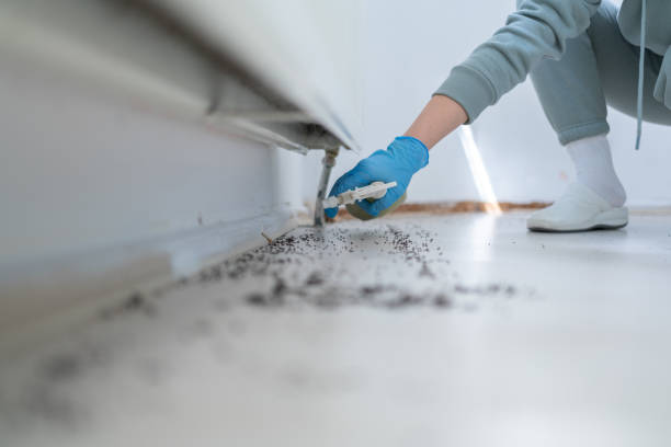 Best Commercial Pest Control Services  in Prien, LA