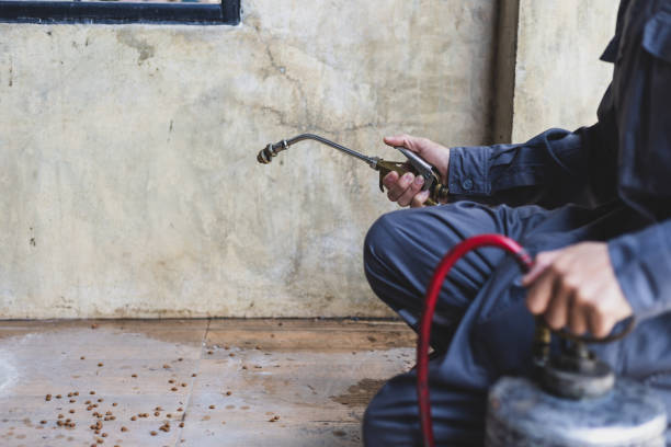 Best Best Pest Control Companies  in Prien, LA